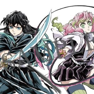 Demon Slayer: Kimetsu no Yaiba Illustration Collection Vol. 4 (Collector's Edition) - Artbook